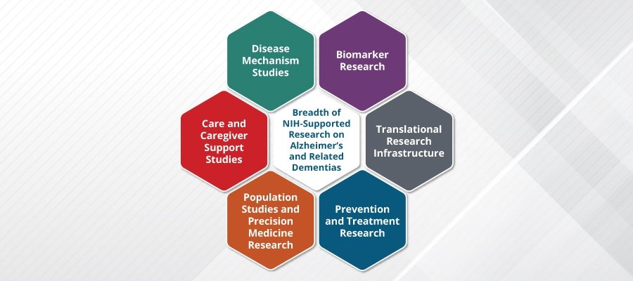 Herbal Medicines for Neurodegenerative Diseases: Efficacy Evaluation in Alzheimer's and Parkinson's