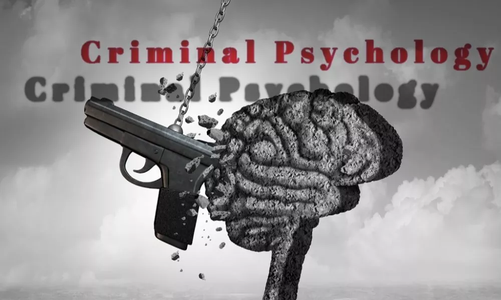 DEPICTION OF CRIMINAL PSYCHOLOGY THROUGH FICTION: A COMPARATIVE STUDY OF MALE AND FEMALE SOUTH-ASIAN WRITERS