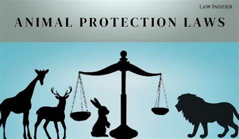 Guardians of the Voiceless: The Role of the Indian Judiciary in Animal Protection 