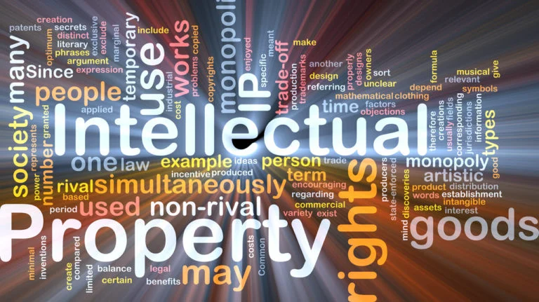 INTELLECTUAL PROPERTY RIGHTS AND INTERNATIONAL TRADE: CHALLENGES AND OPPORTUNITIES