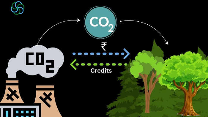 UNLOCKING CARBON CREDITS THROUGH AGROFORESTRY: A new market opportunity for farmers