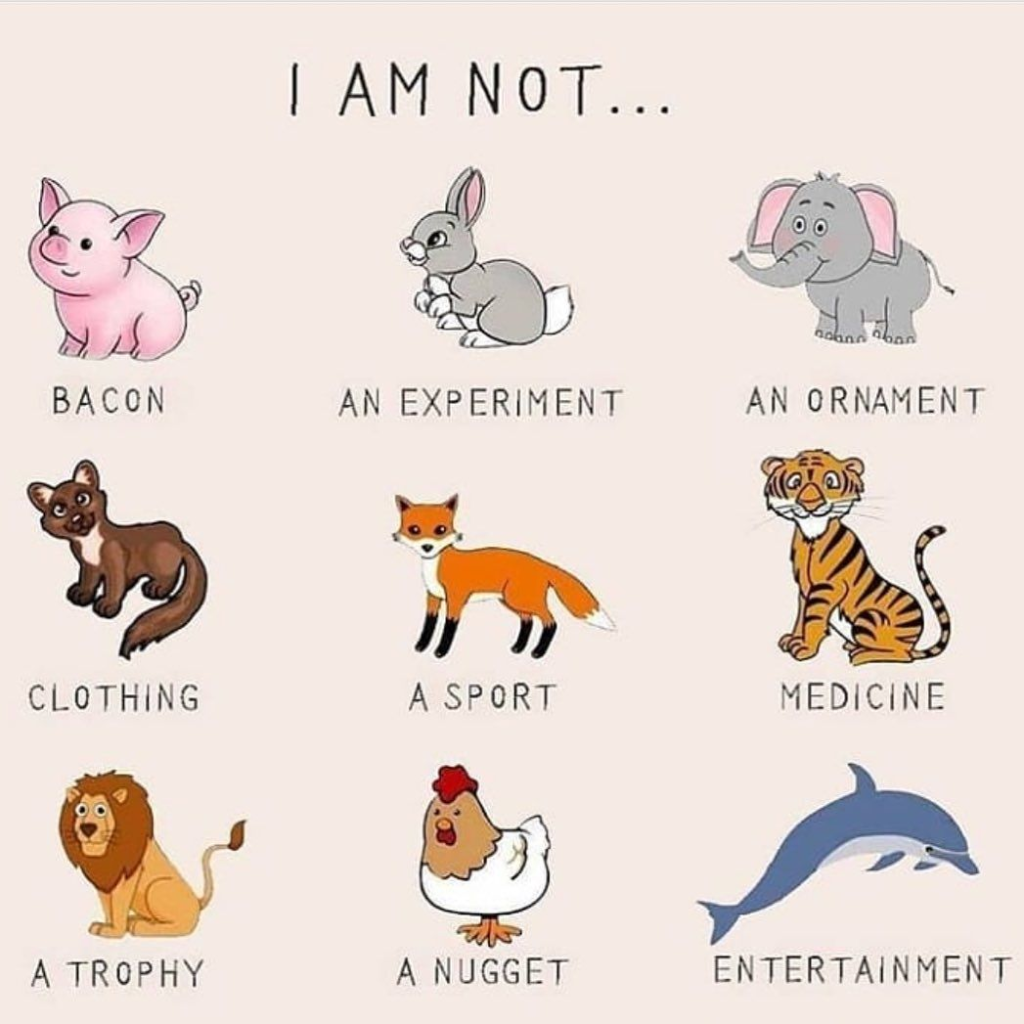 CRITICAL ANALYSIS OF THE ANIMAL RIGHTS ACT 2024