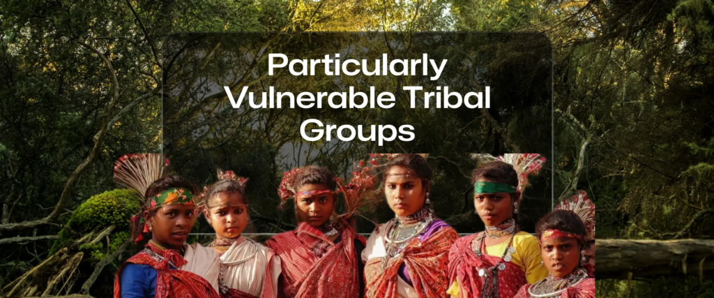Recognising Habitat Rights of PVTGs under India’s Forest Rights Regime: The Case of the Mankidia Community in Odisha – Legal, Environmental and Human Rights Dimensions image 70