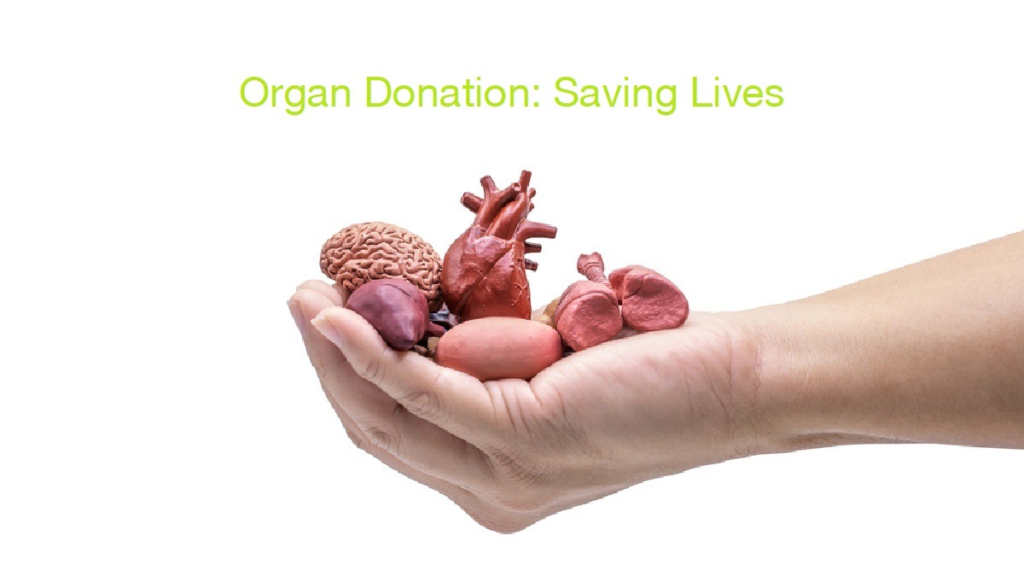 Evolving Jurisprudence of Organ Transplantation in India: An Analytical  Study of the Transplantation of Human Organs and Tissues Act