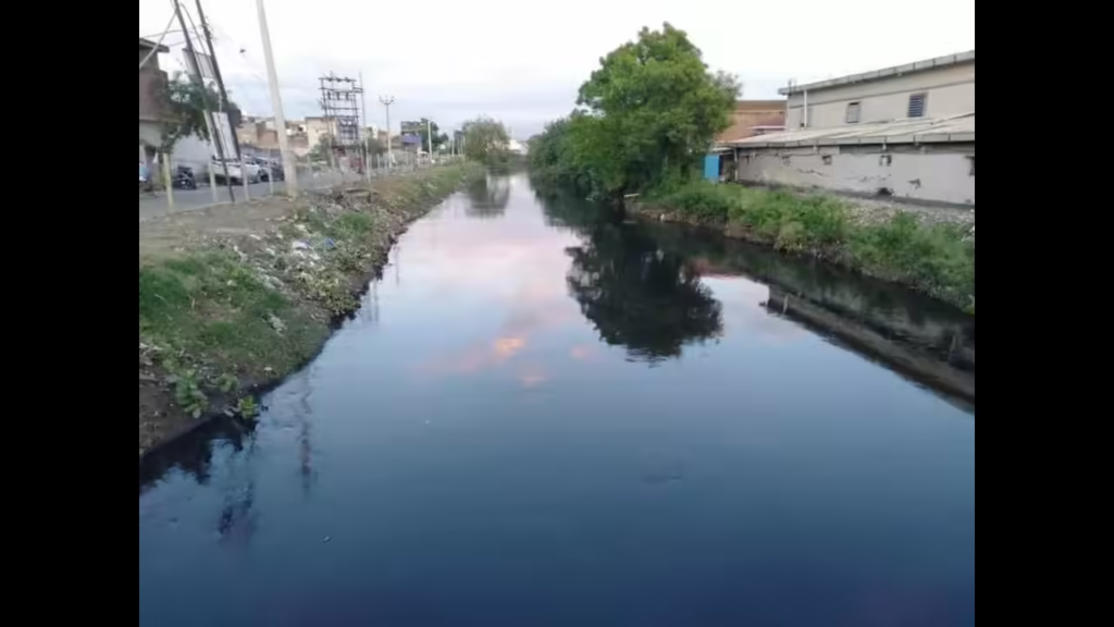 Assessing the Environmental Impact of Buddha Dariya in Ludhiana Ecosystem