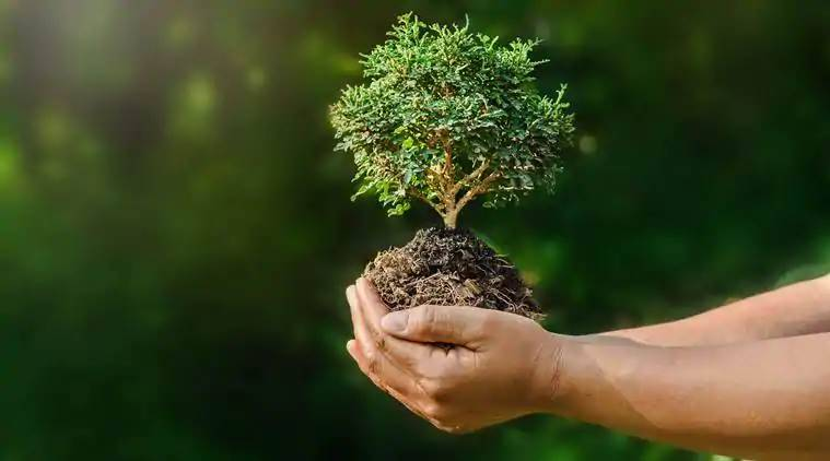 Environmental Law: Protecting Our Planet for Future Generations