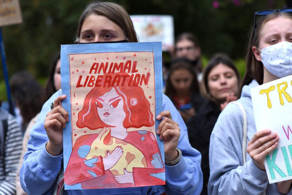 Anthropocentrism vs Biocentrism in Animal Ethics image 13