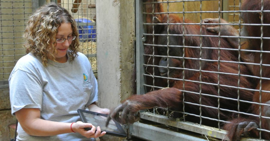 Captivity and Human Perception of Animals: Does Seeing Animals in Captivity Normalize Exploitation? image 19