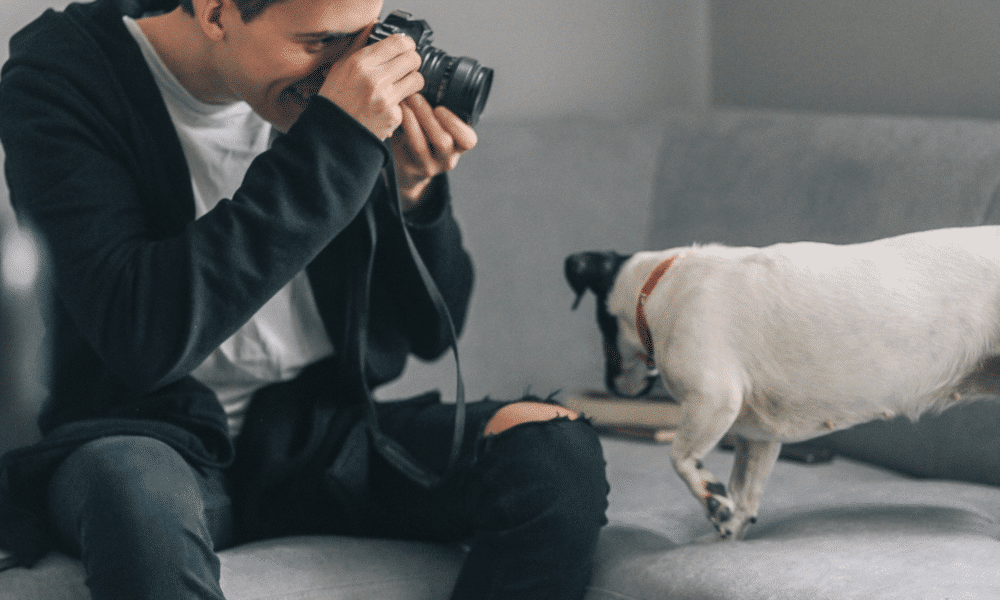 Petfluencing : Novelty or Cruelty? image 30